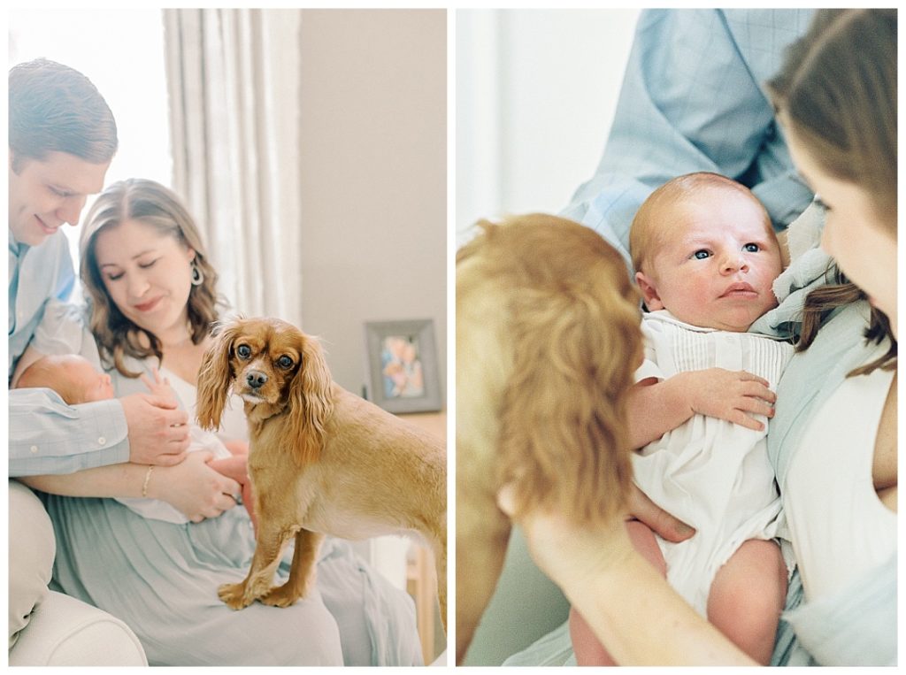 dog in in-home newborn session