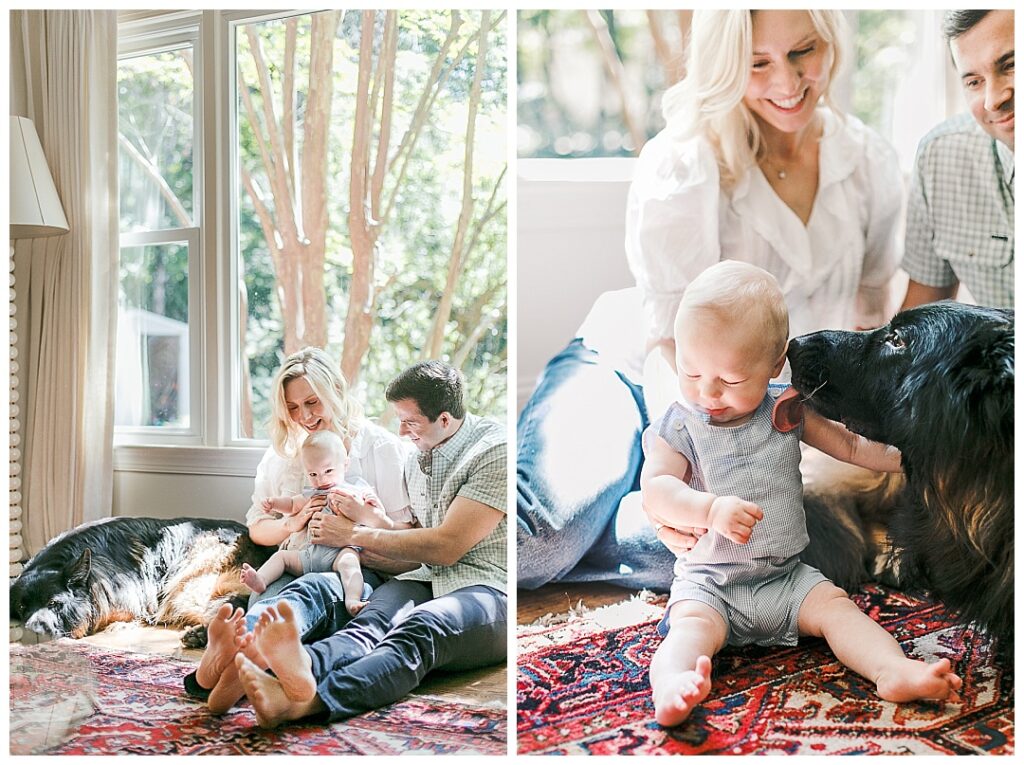 family photos with dog in huntsville, alabama